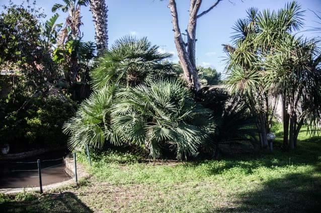 לינה וארוחת בוקר סן קטאלדו Casina Delle Arti מראה חיצוני תמונה