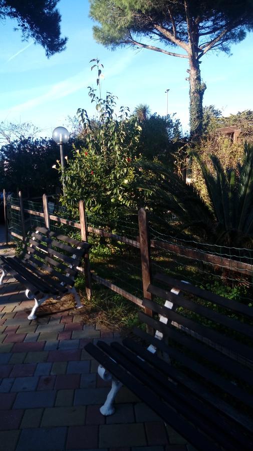 לינה וארוחת בוקר סן קטאלדו Casina Delle Arti מראה חיצוני תמונה